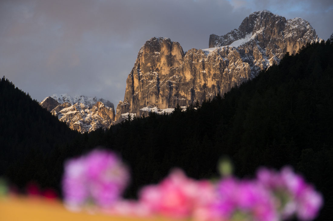 Rosengarten 05.jpg